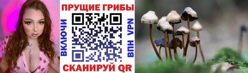 Галлюциногенные грибы прущие грибы  где можно купить   гидра как зайти  Юрюзань 